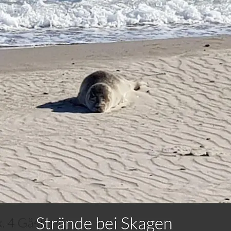 Blue Pearl Vakantiehuis Egernsund